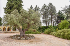 Villa Luciana Martina Franca
